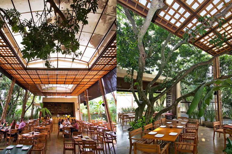Pérgolas para negocios, estilo y diseño - Parasoles tropicales