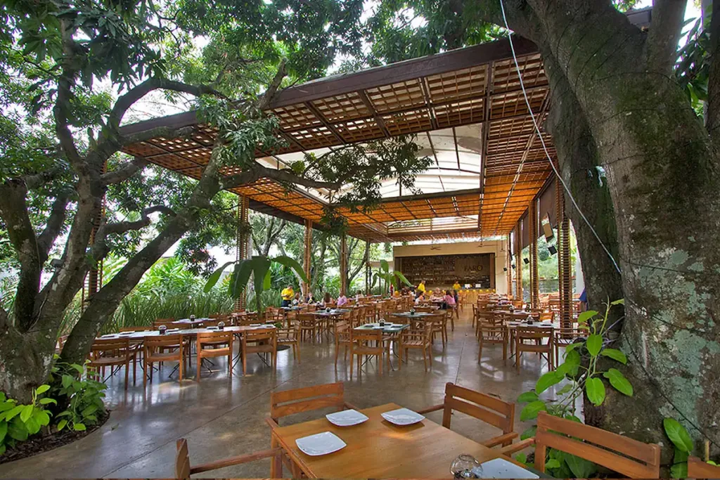 Cubierta de pérgola fija en acero con listones de madera teca vista desde el comedor de un restaurante