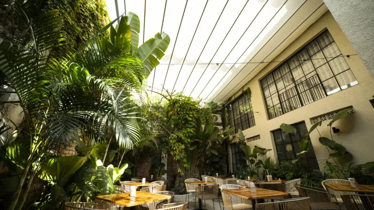 Pérgola retráctil PergoFlex cerrada sobre el patio tropical del Café Gardenia, con mesas de madera bajo la lona blanca